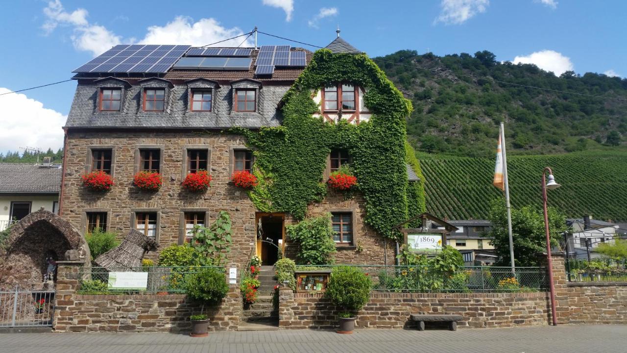 HatzenportWeingut -1869- Brunnenhof公寓 外观 照片